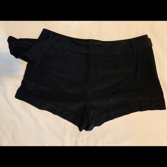 Express Professional Short - Picture 3 of 5